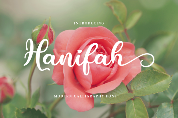 Hanifah: A Modern Script Font for Elegant Design