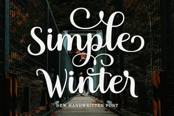 The Elegant Script Font for Modern Design Projects